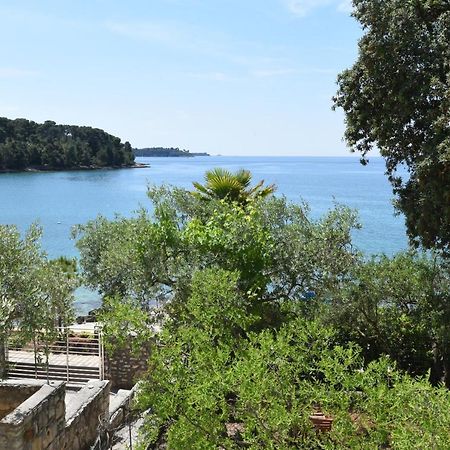 Buric House - Apartments Klasik And Studio Mini Rovinj Exteriér fotografie