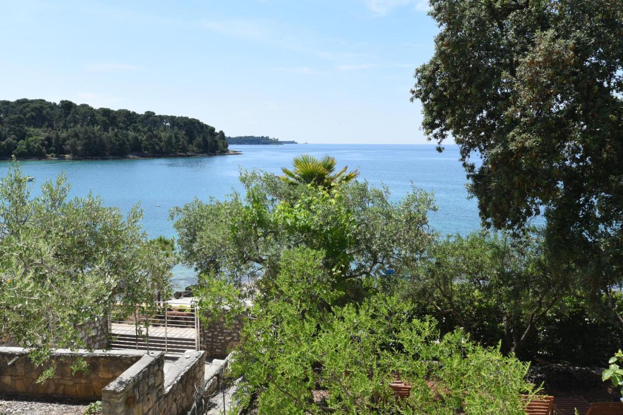 Buric House - Apartments Klasik And Studio Mini Rovinj Exteriér fotografie